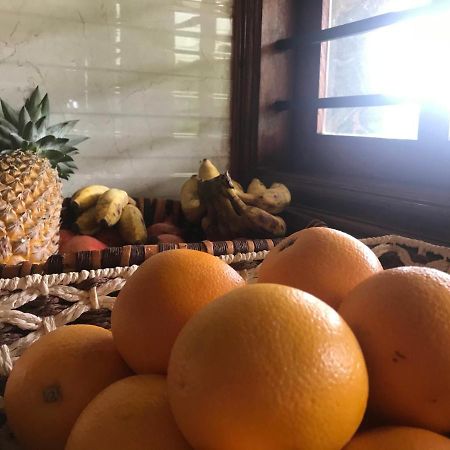Villa Wodeyarmutt Tropical Luxury Living Sringeri Экстерьер фото
